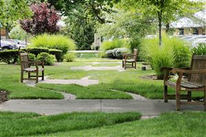 Benches in a park-like setting between two parking lots.